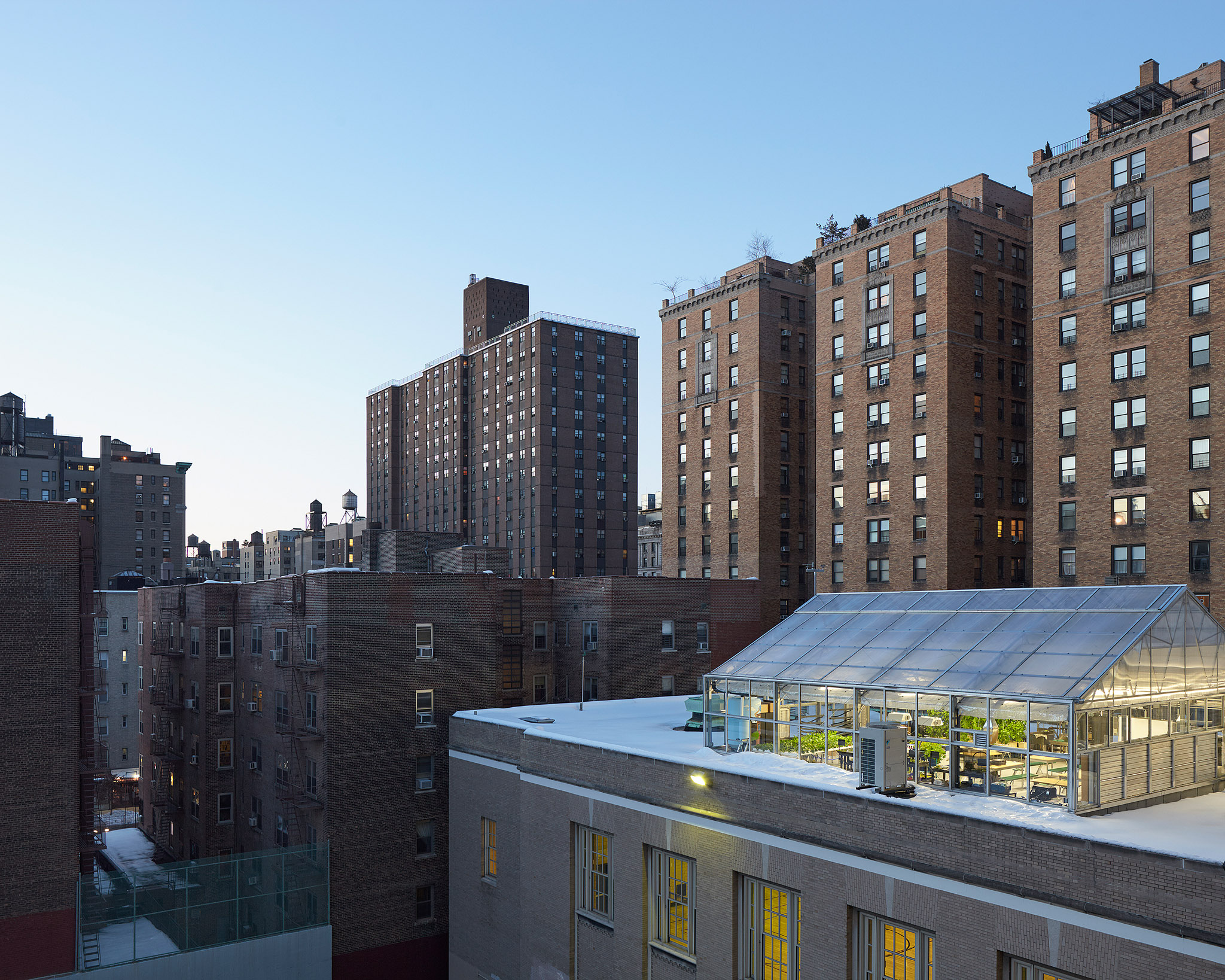 PS333 Green Roof, Location: New York City