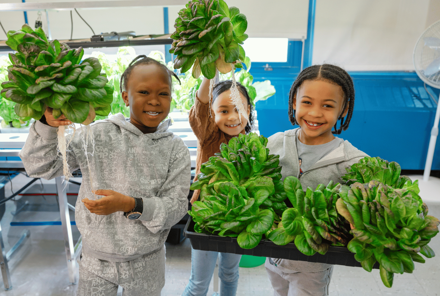 three young students hold lettuce harvested from hydroponic systems and smile