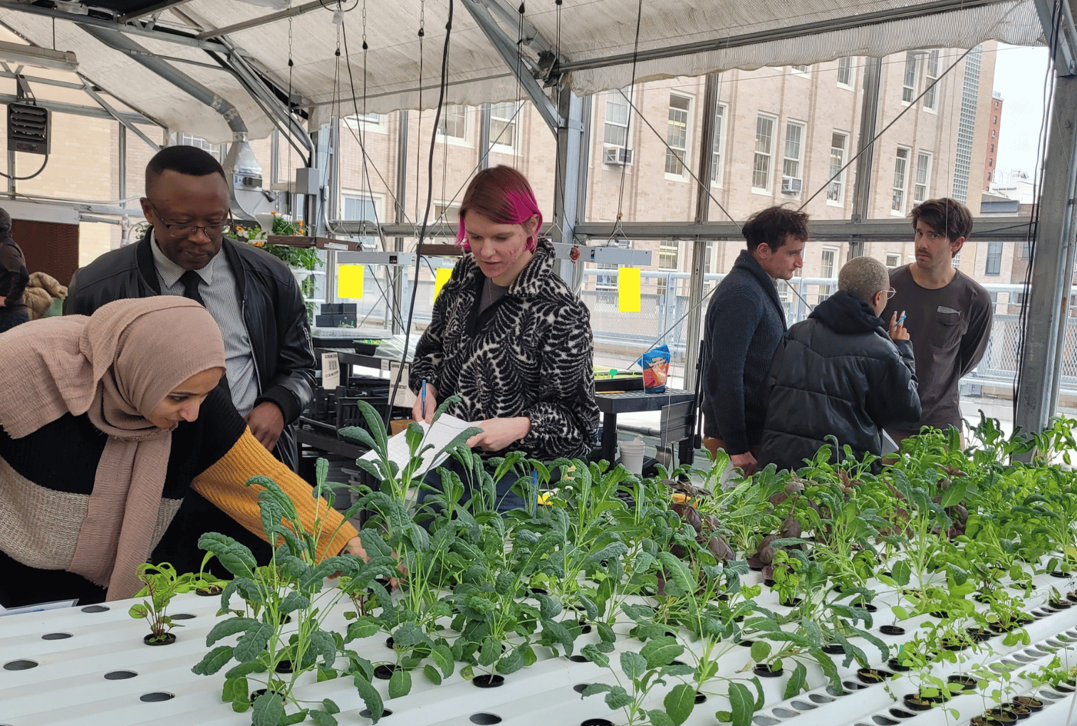 teachers learn about sustainability science inside a hydroponic greenhouse
