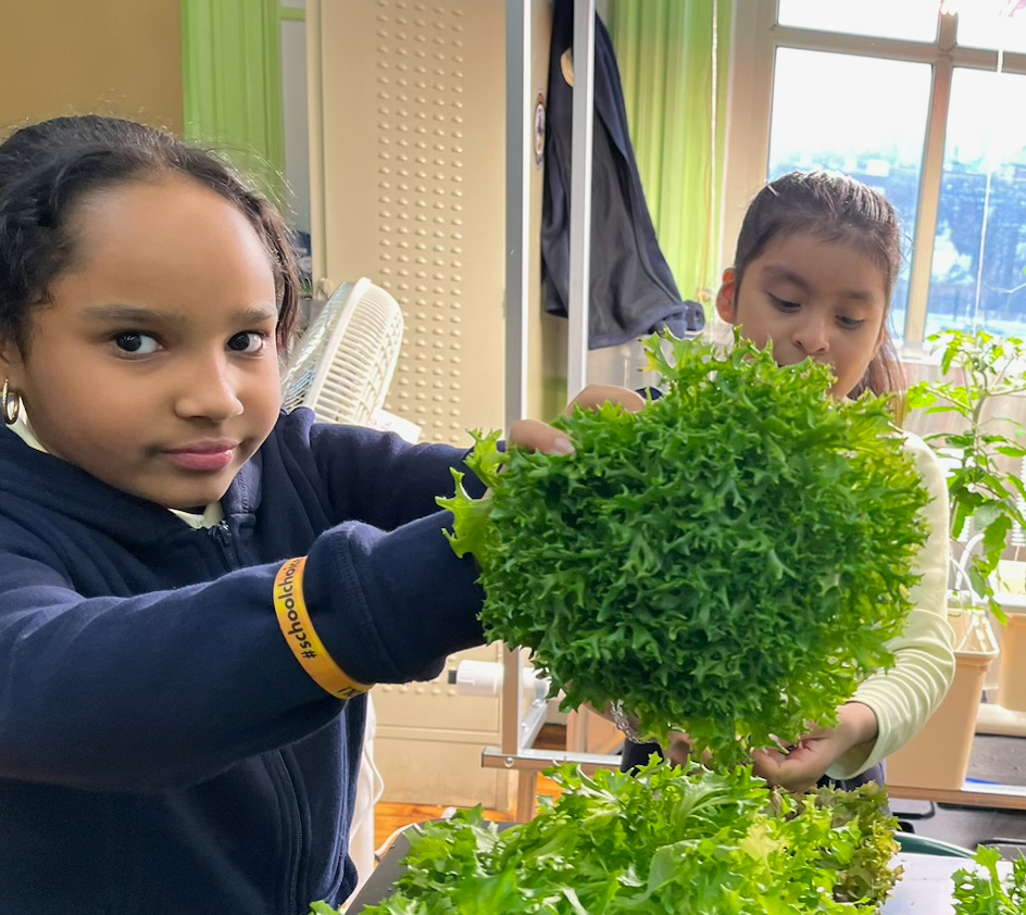 Children hold up their leafy harvest.