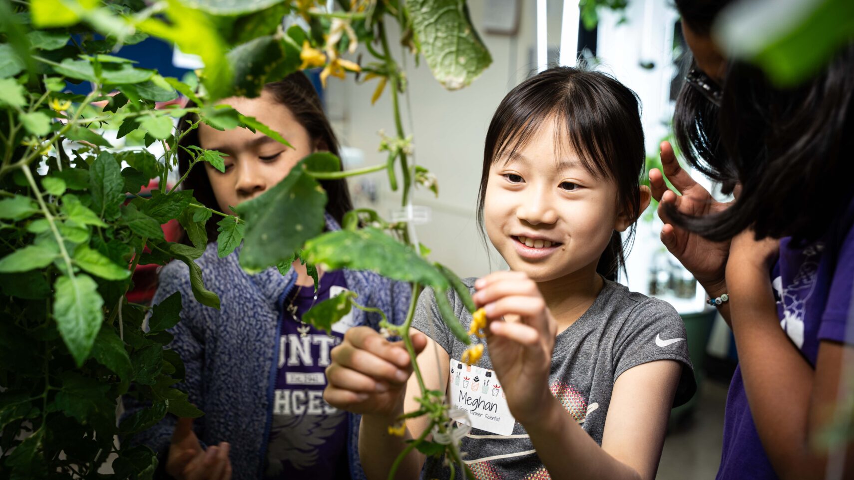 Students at Hunter College Elementary School examine crops on a vine system