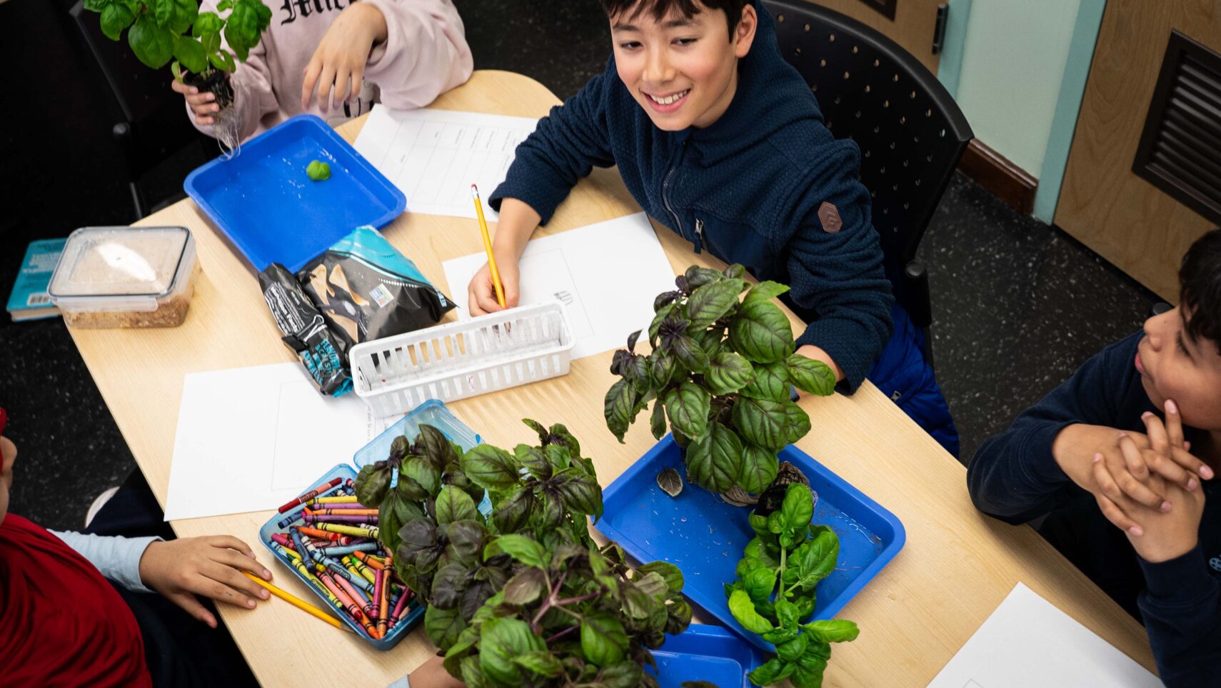 Students noting down their harvest